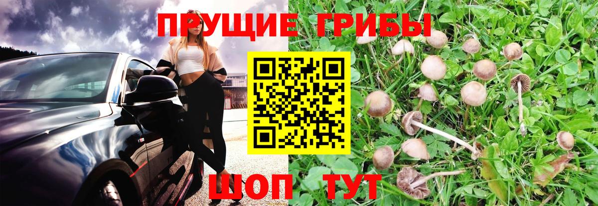 Можайск  Галлюциногенные грибы MAGIC MUSHROOMS  Вход с VPN 