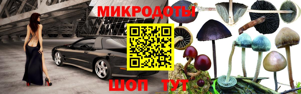 Псилоцибиновые грибы GOLDEN TEACHER Можайск